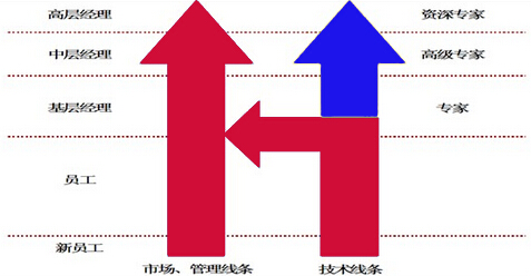 超市人力資源管理之人才戰(zhàn)略